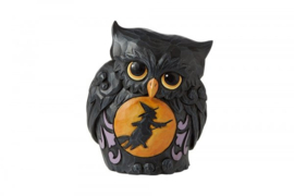 Halloween Owl & Pumpkin H10cm Set van 2 Jim Shore beelden retired *