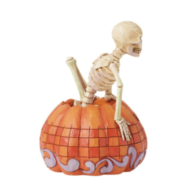 Skeleton in Pumpkin "Sacred to the Bone" H17,5cm + Jim Shore Base Color Ø22cm 6016643