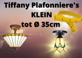 Plafonniere's Klein tot Ø 35cm
