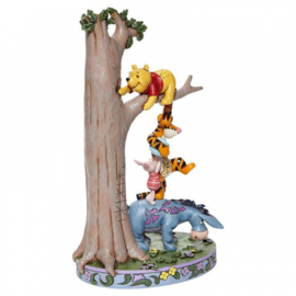 Winnie The Pooh & Friends - Hundred Acre Caper H 23 cm Jim Shore  retired, beperkte voorraad *