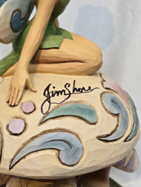 Tinker Bell Signed by Jim 4013260 no original box, very rare item , Verkocht