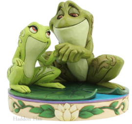 Tiana & Naveen as Frogs H11cm Jim Shore 6005960, retired *