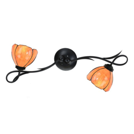 8205 '  Plafonniere B80cm met 2 kappen Ø17cmTulipa