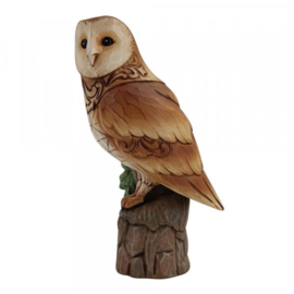 Barn Owl H14cm Kerkuil - Jim Shore 6010444