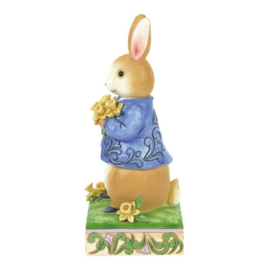 Peter Rabbit with Daffodils H17cm Jim Shore 6014046
