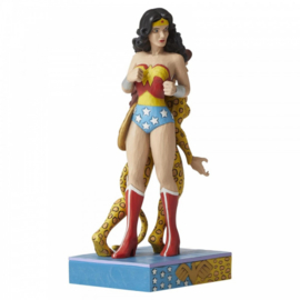 Wonder Woman and Cheetah Figurine H22cm Jim Shore 6005983 , retired *