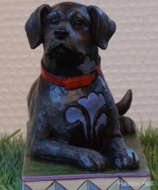 "Onyx" Zwarte Labrador H10cm Jim Shore retired, laatste exemplaar 