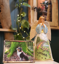 Rainbow Pet Bridge Bereavement Angel * H25cm Jim Shore 6008762 retired