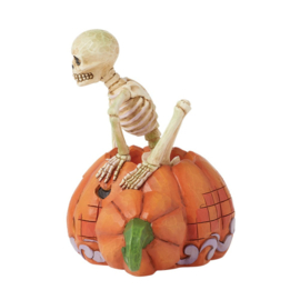 Skeleton in Pumpkin "Sacred to the Bone" H17,5cm + Jim Shore Base Color Ø22cm 6016643
