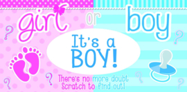 It's A Boy or Girl? kraskaartjes Girl/Boy