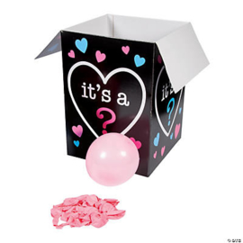 Gender Reveal Surprise Box