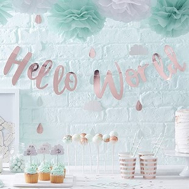 "Hello World Babyshower" rietjes