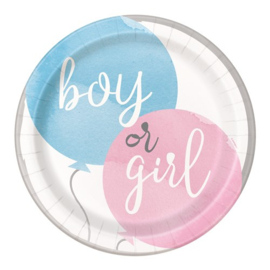 " boy or girl? " bordjes 23 cm