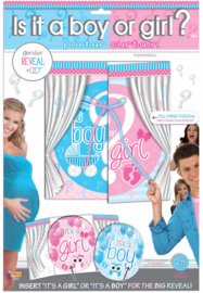 Boy? or Girl? raam poster spel