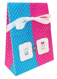 "Little Man or Little Miss"  12 goody bags