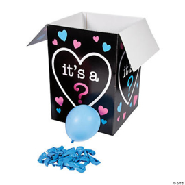 Gender Reveal Surprise Box