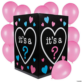 Gender Reveal Surprise Box