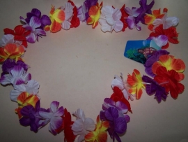 Hawai bloemenkrans
