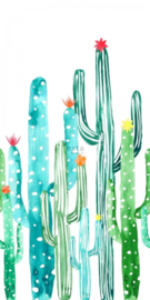Esta Home Greenhouse Wallpaper XXL bloeiende cactus 158829