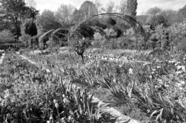 Papermoon Fotobehang Bloemen Tuin Zwart-Wit