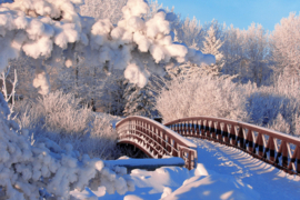 Papermoon Fotobehang Besneeuwde Winterse Brug