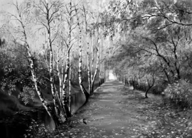 Papermoon Fotobehang Berkenbos Pad Zwart-Wit