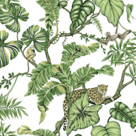 York Wallcoverings Ronald Redding Traveler behang Jungle Cat HO2145