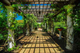 Papermoon Fotobehang Garden Walkway 97033