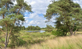 Noordwand Holland Fotobehang Dommeldal 2864