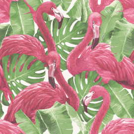 Noordwand Global Fusion Flamingo's behang G56406