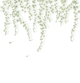 Casadeco Wonderwalls 3 behang Lierre Suspendu Vert Feuillage S WDWT 202277407 NW