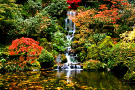 Papermoon Fotobehang Waterval In Japanse Tuin