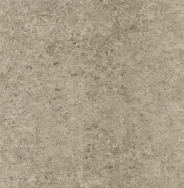 Dutch First Class Precious Metals ARM0011