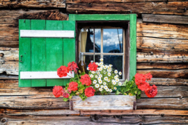 Papermoon Fotobehang Houten Hut