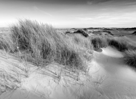 Papermoon Fotobehang Strand Landschap Zwart-Wit