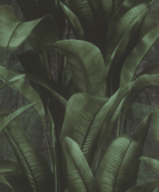 Rasch Back to Nature behang 416237