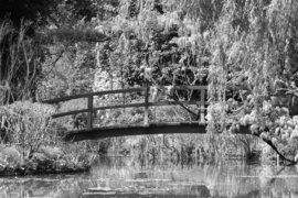 Papermoon Fotobehang Brug In Het Bos Zwart-Wit