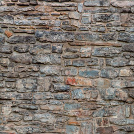 Dutch Wallcoverings One Roll One Motif behang Castle Wall A51702