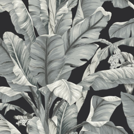 York Wallcoverings Black & White Resource Library behang Banana Leaf BW3971