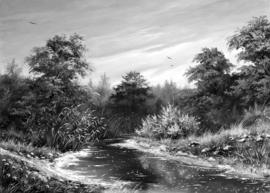Papermoon Fotobehang Bomen Landschap Schilderij Zwart-Wit