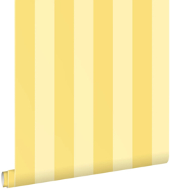 Esta Home Color Pop behang 131575