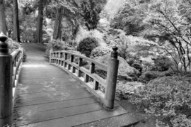 Papermoon Fotobehang Brug In Het Park Zwart-Wit