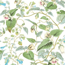 York Wallcoverings Blooms behang Moon Flower BL1711