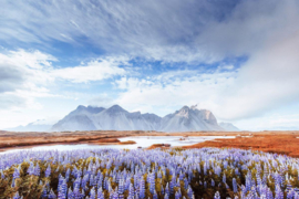 Papermoon Fotobehang Uitzicht Op IJsland