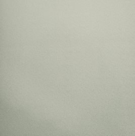 Dutch First Class Eleganza behang Allora Texture Sage 36260