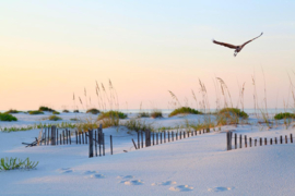 Papermoon Fotobehang Strand Van Florida Met Wit Zand