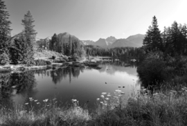 Papermoon Fotobehang Natuur Landschap Zwart-Wit