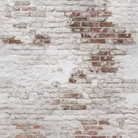 Dutch Wallcoverings One Roll One Motif behang Brick EP6101