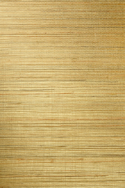 Arte All Naturals behang Line Gold 80710C