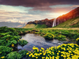 Papermoon Fotobehang Seljalandfoss Waterval IJsland